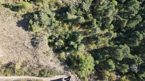 DJI_4061.JPG